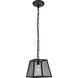 Talon 1 Light 9.8 inch Matte Black Pendant Ceiling Light