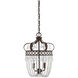 Rochelle 2 Light 12 inch New Tortoise Shell with Silver Pendant Ceiling Light