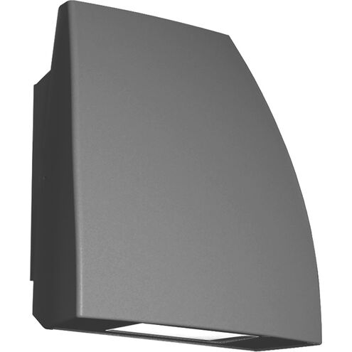 Endurance LED 4.38 inch Graphite Flood Light