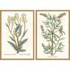 Florals Collection Antique Gold Wood With Embossed Weave Pattern Framed Art