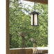 Harbor Lane 1 Light 9 inch Black Outdoor Chain Mount Ceiling Fixture