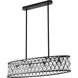 Canada 4 Light 10 inch Black Chandelier Ceiling Light
