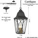 Cardigan 3 Light 11 inch Sand Coal and Olden Brass Outdoor Pendant, Great Outdoors