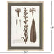 Lunchnis Brown and Beige and Neutral and Sepia Framed Art