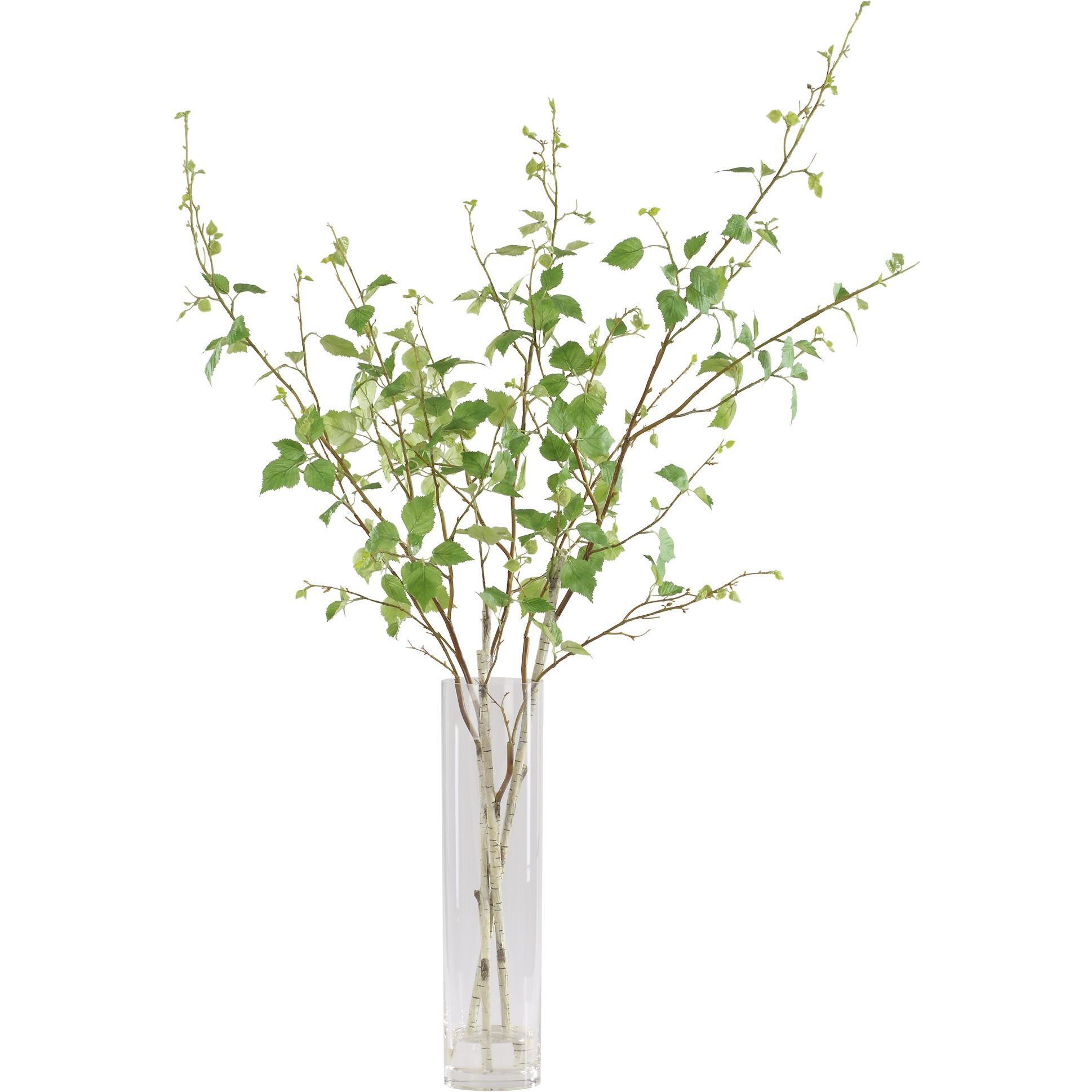 Nigra Green Birch in Vase Centerpiece