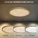 Outskirts LED 20 inch Brushed Gold Flush Mount Ceiling Light, Large