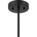 Jarrell 6 Light 30 inch Matte Black Chandelier Ceiling Light