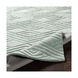 Etching 36 X 24 inch Sage Rugs, Rectangle
