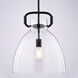 Madrona 1 Light 14 inch Black Pendant Light Ceiling Light