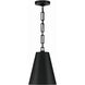 Alston 2 Light 10 inch Matte Black and Antique Gold Mini Pendant Ceiling Light