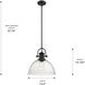 Yep Hines 1 Light 13.5 inch Matte Black Pendant Ceiling Light in Seeded Glass, Large