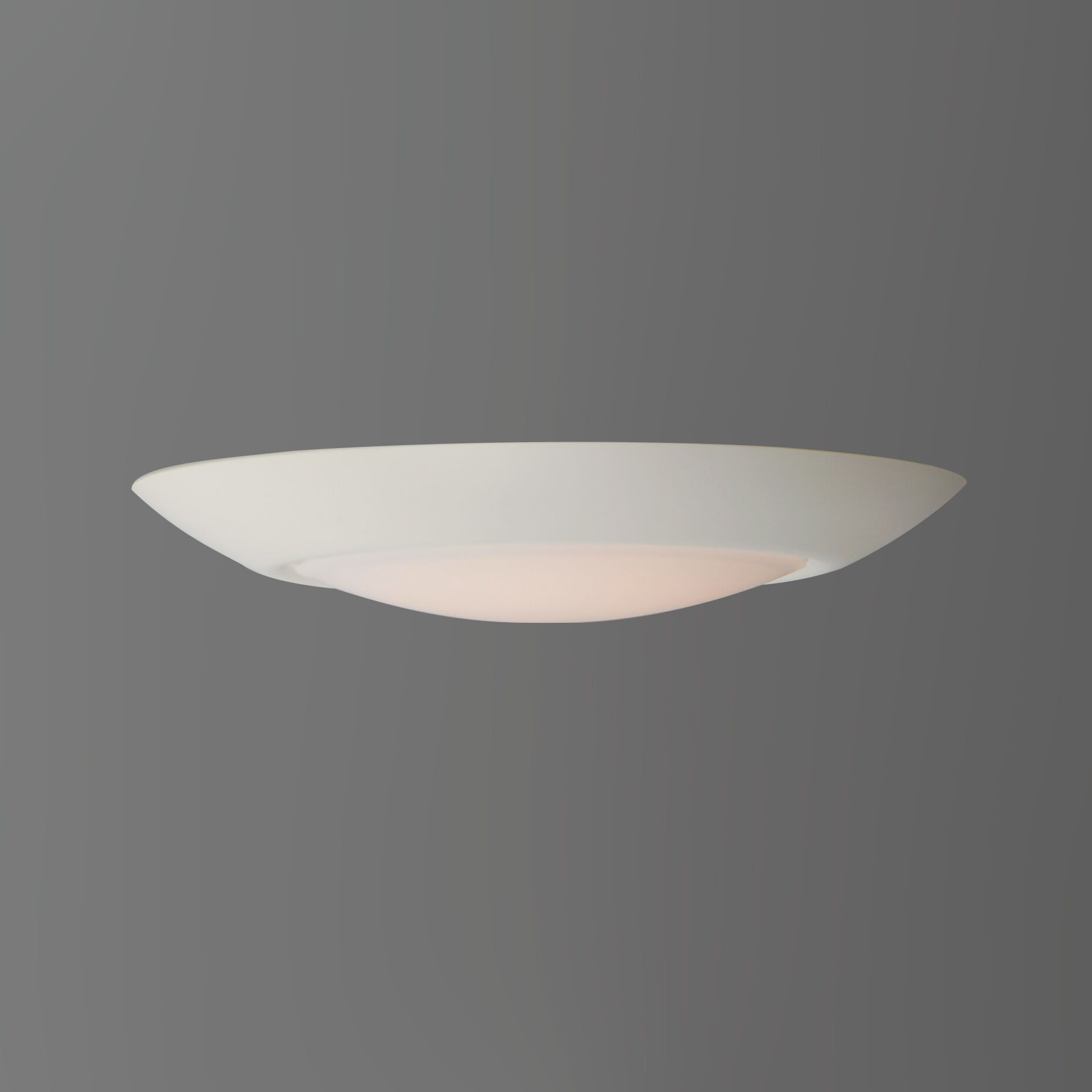 Diverse LED 8 inch White Flush Mount Ceiling Light