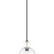 Downtown Urban Astor 1 Light 10 inch Matte Black Mini Pendant Ceiling Light