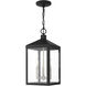 Nyack 3 Light 8.25 inch Black with Brushed Nickel Cluster Outdoor Pendant Lantern