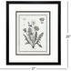 Dandelions Black and Neutral Framed Art, Propac