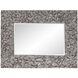 Pablo 48 X 36 inch Gray Mirror
