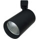 Jason PS Black Track Head Ceiling Light in Flood, L-Style, L-Style, Selectable CCT