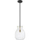 Bella 1 Light 12 inch Matte Black and Olde Brass Pendant Ceiling Light
