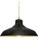 Radiance LED 13.5 inch Carbon Matte Black and Champagne Gold and Antique Brass Pendant Ceiling Light