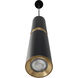 Cicada LED 3 inch Black with Knurled Brass Pendant Ceiling Light