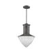 Skylar 1 Light 16 inch Ash Pendant Ceiling Light