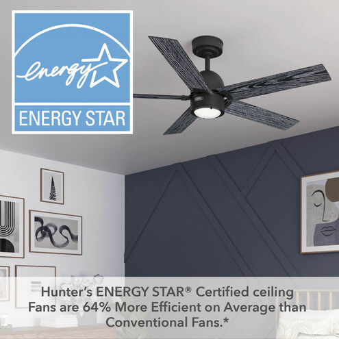 Erling 52 inch Matte Black with Salted Black/Matte Black Blades Ceiling Fan