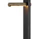 Scope 12v 2.5 watt Black and Burnished Bronze Landscape Path Light