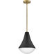 Haddie LED 11 inch Black Pendant Ceiling Light