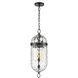 Capsula Down Pendant Ceiling Light in Urban Bronze