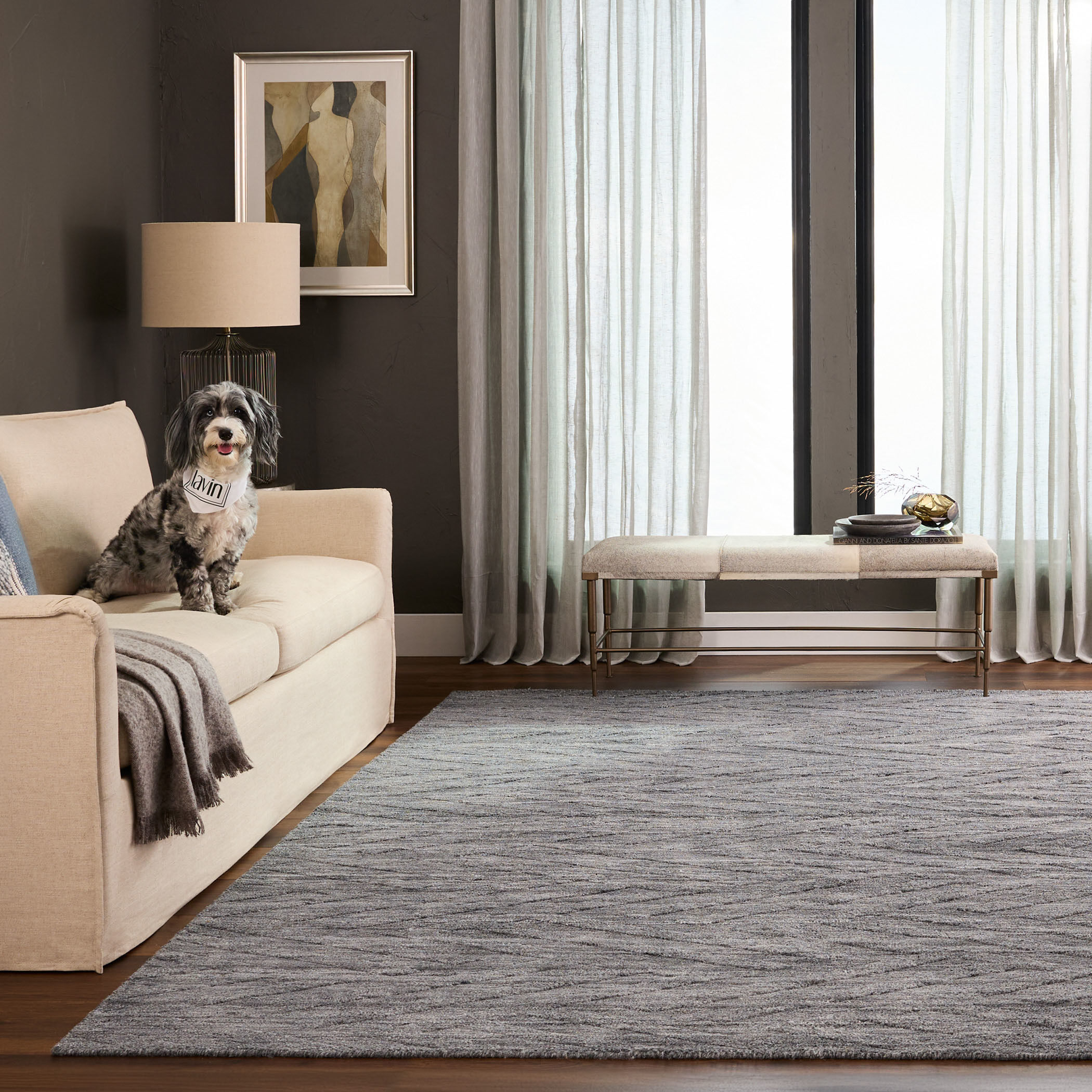 Pari 36 X 24 inch Dark Grey Rug in 2 x 3
