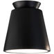 Radiance Collection LED 7.5 inch Gloss Black Flush-Mount Ceiling Light