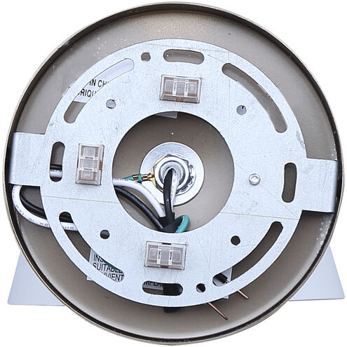 Daxton Sconce Wall Light