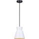 Arbella 1 Light 7.75 inch Black/White Pendant Ceiling Light