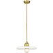 Paloma 1 Light 14 inch Olde Brass Pendant Ceiling Light in Oil Rubbed Bronze