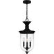 Havana 3 Light 10 inch Earth Black Mini Pendant Ceiling Light