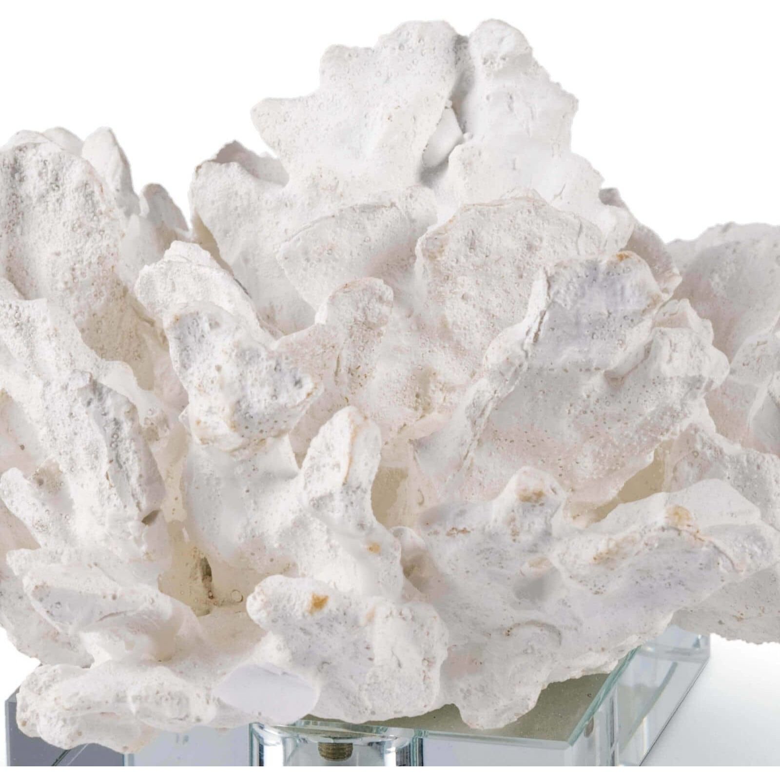 Flower Coral 8 X 4.5 inch Sculpture, Crystal Base