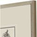 Florals Collection Brown Framed Art