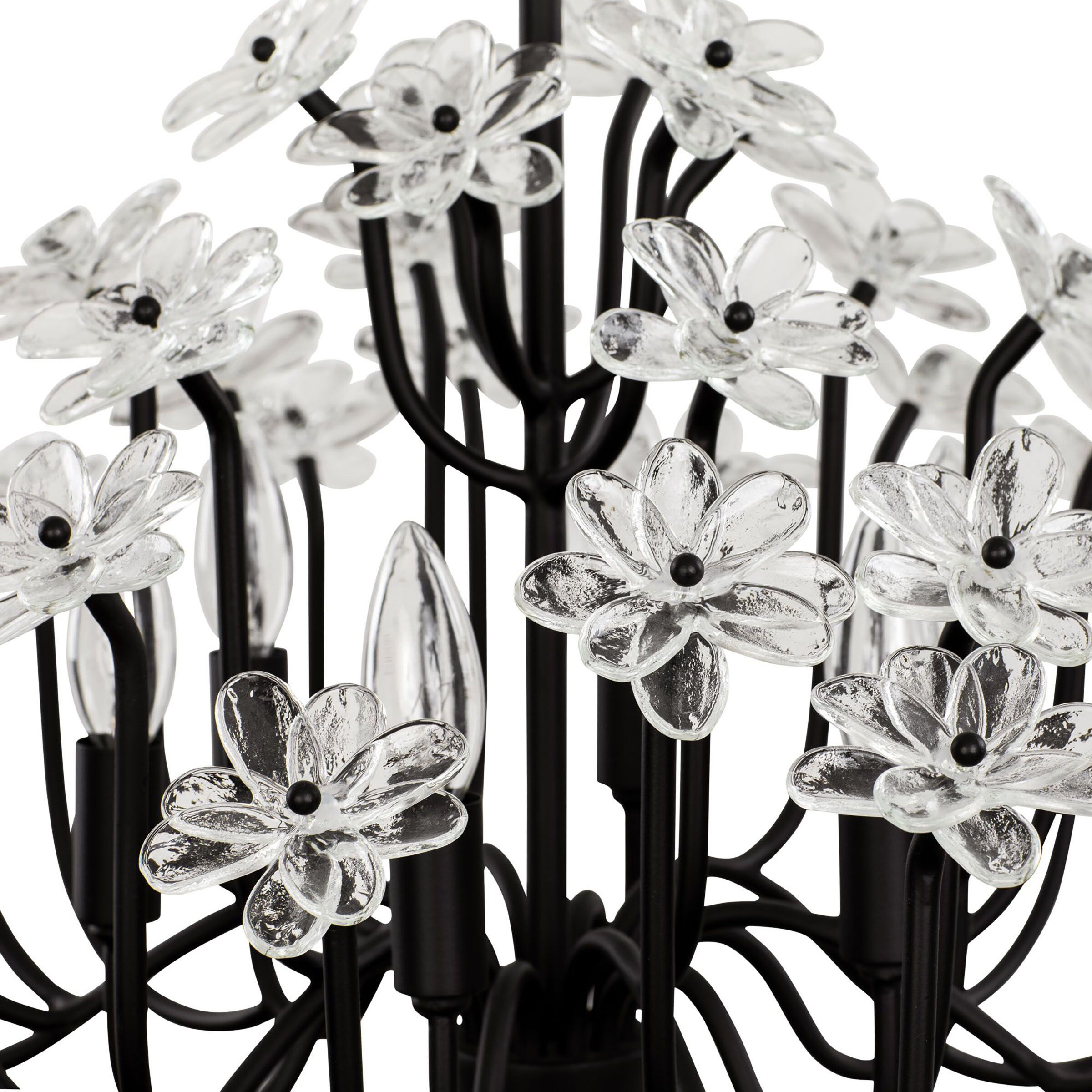 Wildflower 6 Light 26 inch Matte Black Chandelier Ceiling Light, Smithsonian Collaboration