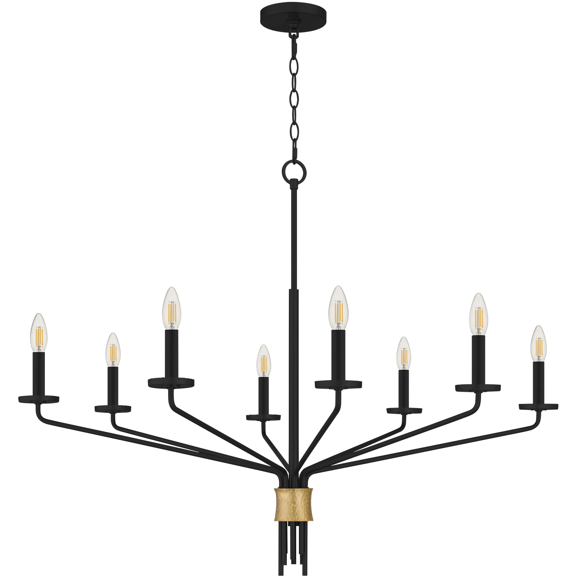 Alexander 8 Light 40 inch Matte Black Chandelier Ceiling Light