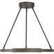 Tribeca LED 24 inch Smoked Iron And Soft Brass Pendant Ceiling Light