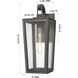 Madison 1 Light 20.75 inch Matte Black Outdoor Sconce in Seedy Glass