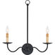 Saxon 2 Light 19.75 inch Zanzibar Black Wall Sconce Wall Light