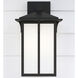 Tomek 1 Light 14 inch Black Outdoor Wall Lantern, Medium