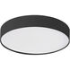 Rynn 5.25 inch Black Flush Mount Ceiling Light