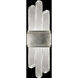 Lior Wall Sconce Wall Light in Silver