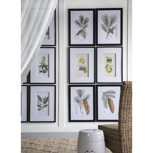 Smithsonian Black and Green/Yellow Wall Art, Assorted Fruit
