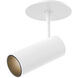 Downey 2.38 inch Semi-Flush Mount