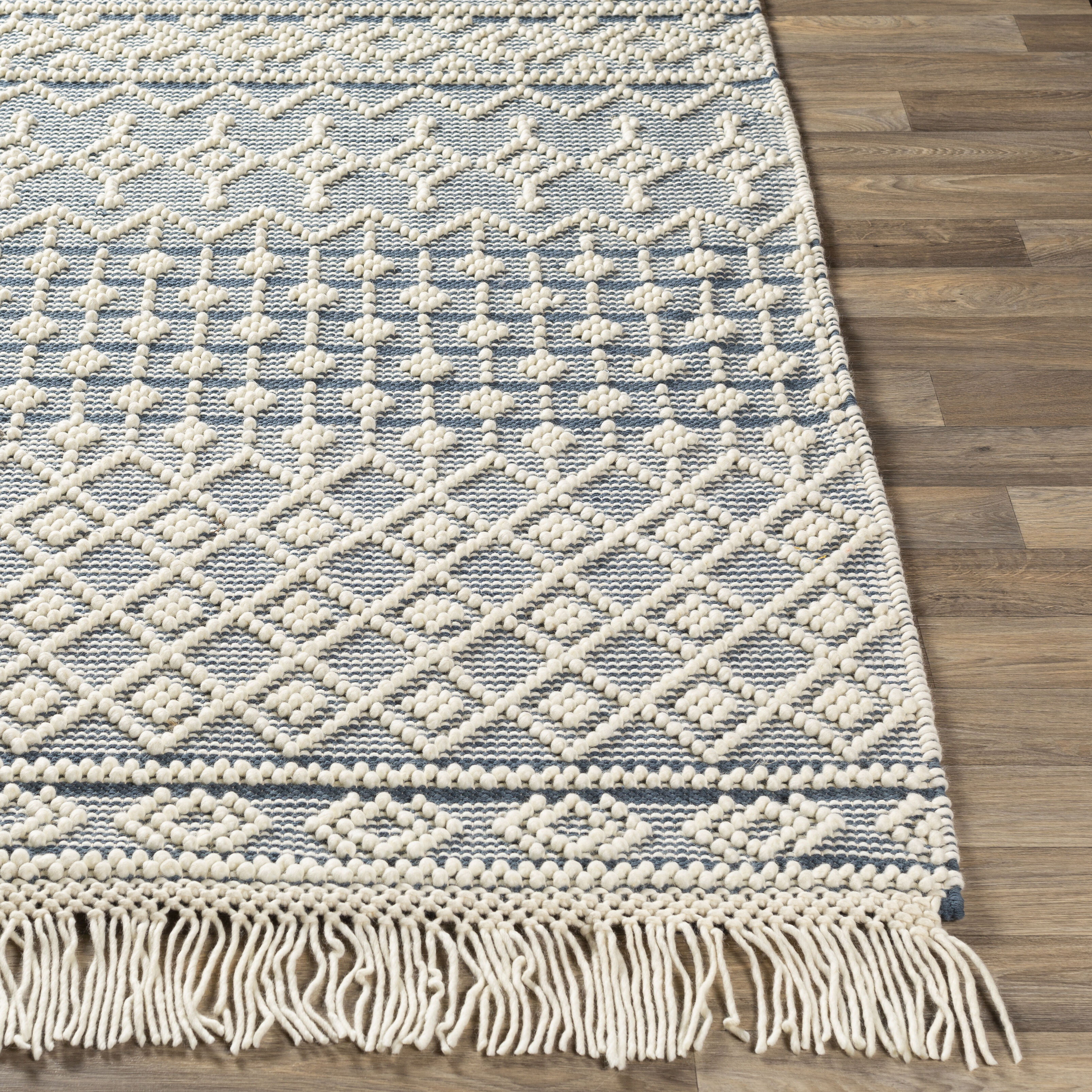 Farmhouse Tassels 36 X 24 inch Blue Rug in 2 x 3, Rectangle