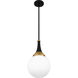 Arlo 1 Light 10 inch Matte Black Pendant Ceiling Light