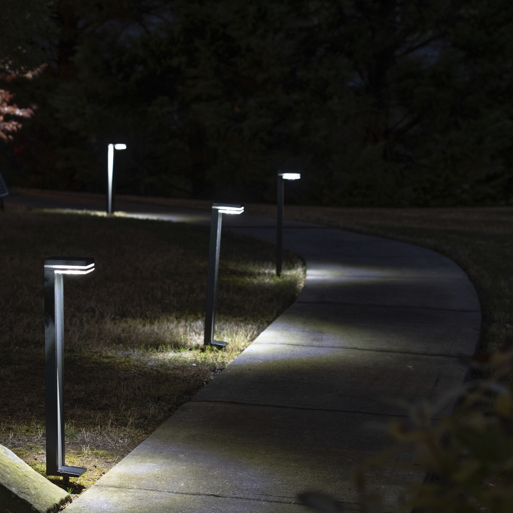 Sentry Black Landscape and Pathway Light, Solar
